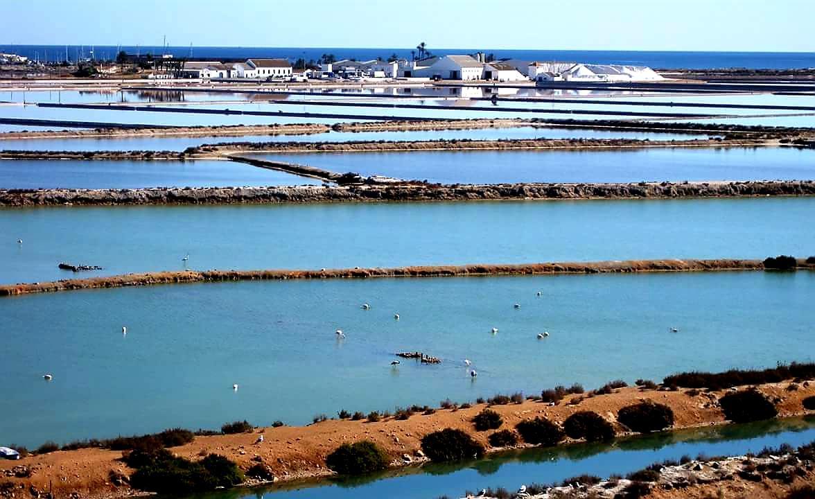 Hotel Alaska San Pedro del Pinatar Esterno foto