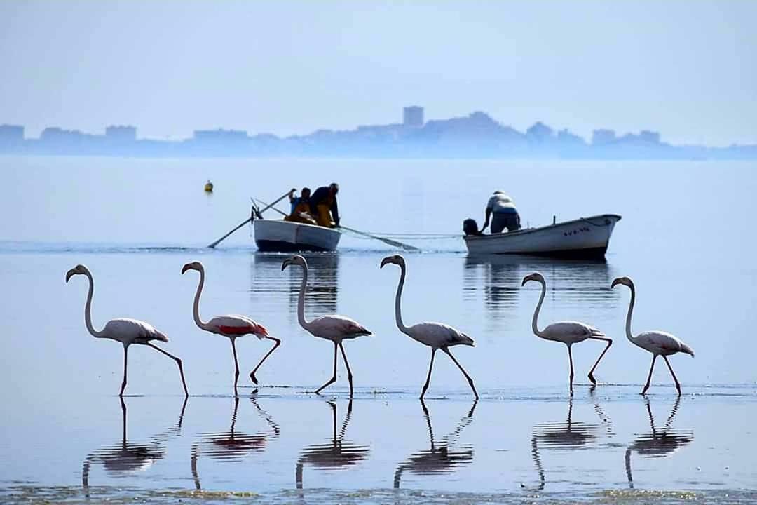 Hotel Alaska San Pedro del Pinatar Esterno foto